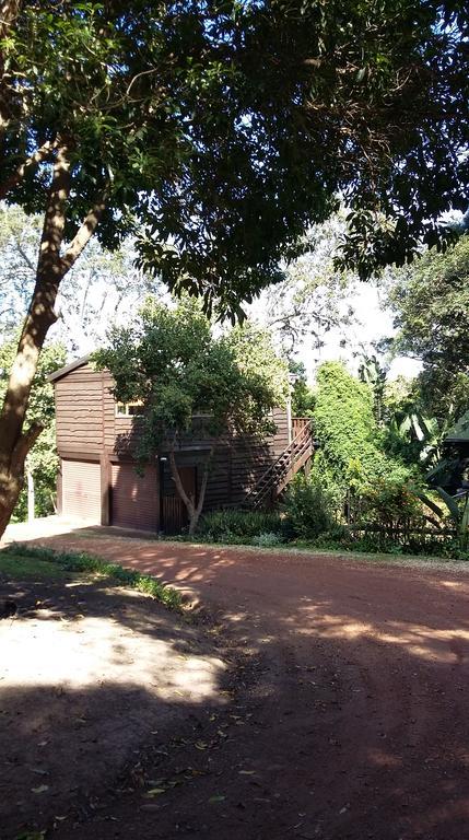 Treehouse Cottage The Crags Exterior foto