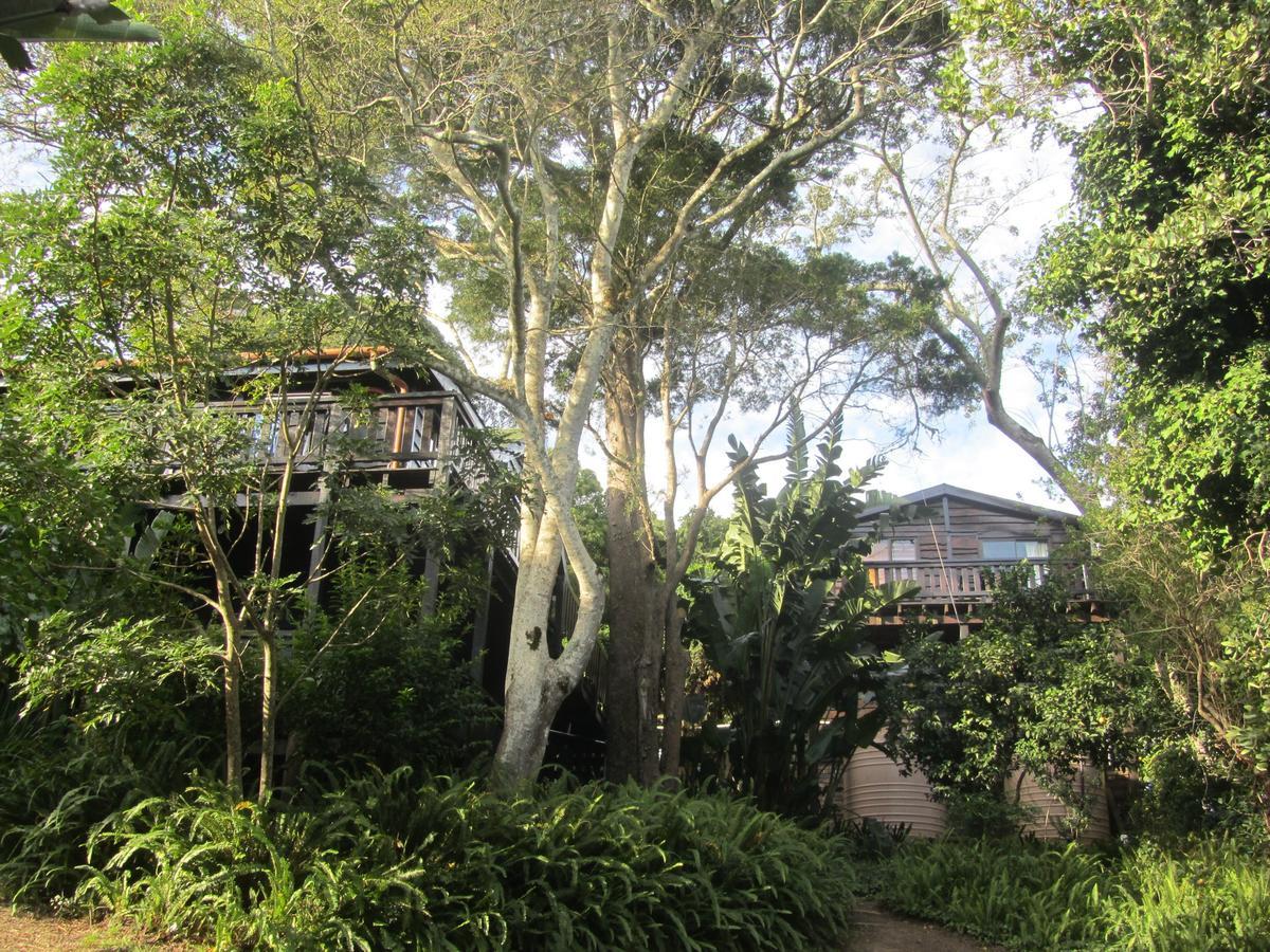 Treehouse Cottage The Crags Exterior foto